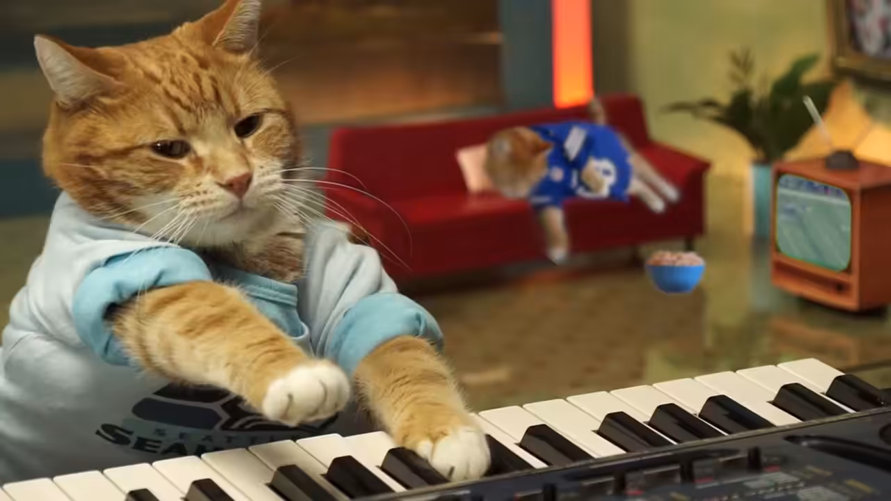 Keyboard Cat Plays During the BIG GAME!
