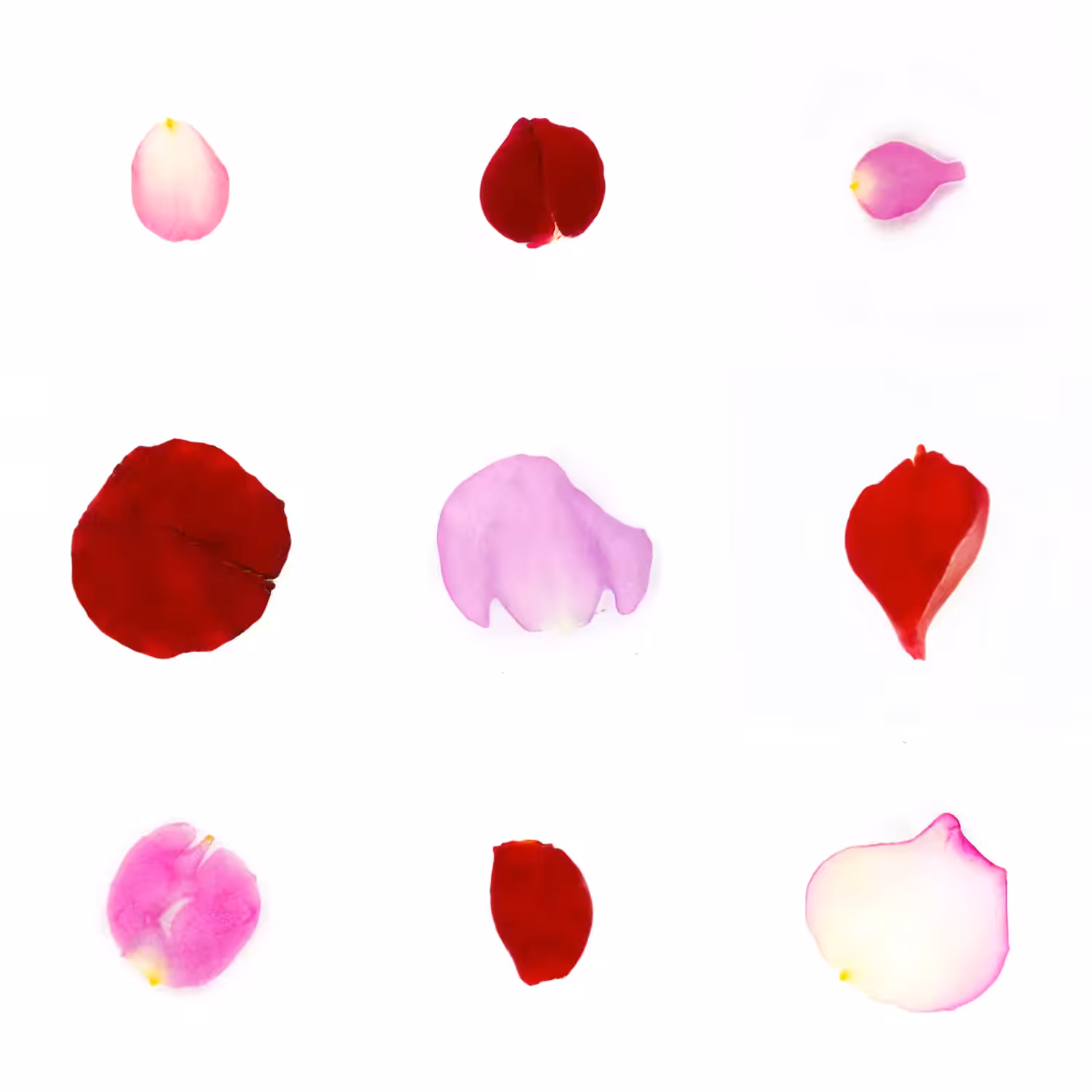 Infinite Petals 3x3#2169