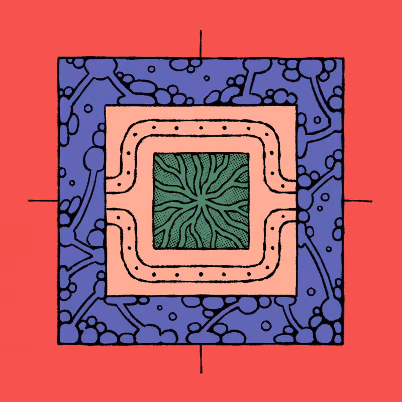 borders #364