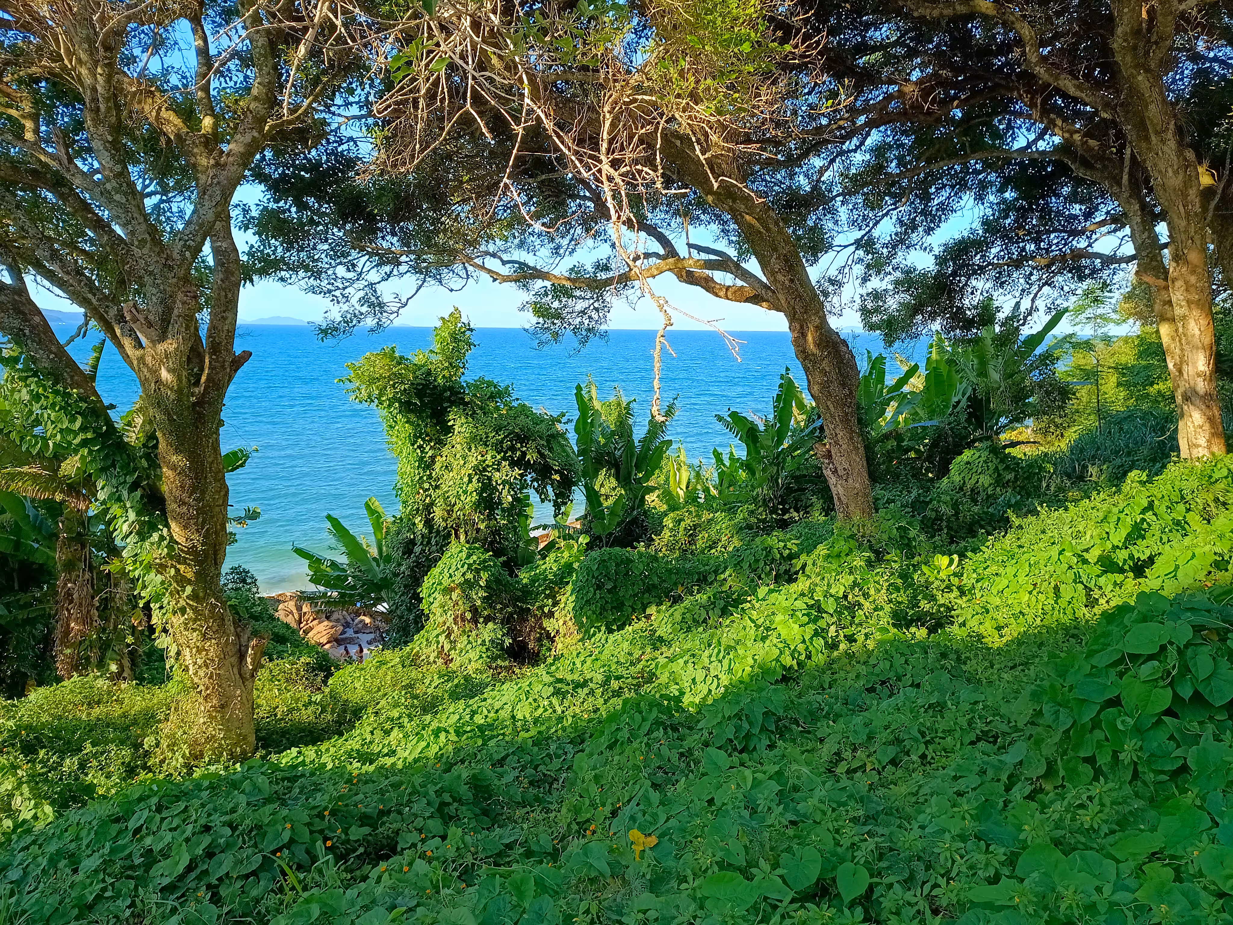 Greens and blues