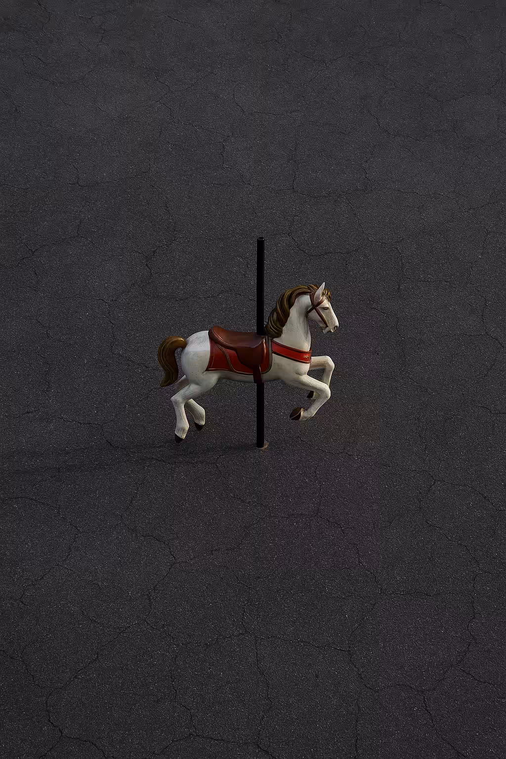 Rodeo posts: Rodeo post #276
