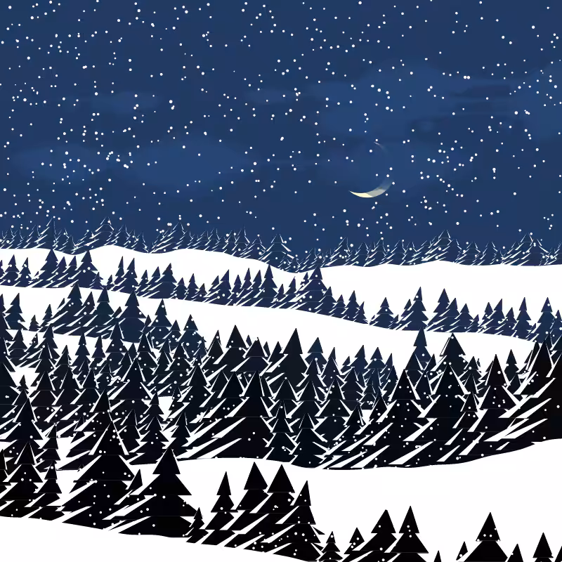 Winterland #210