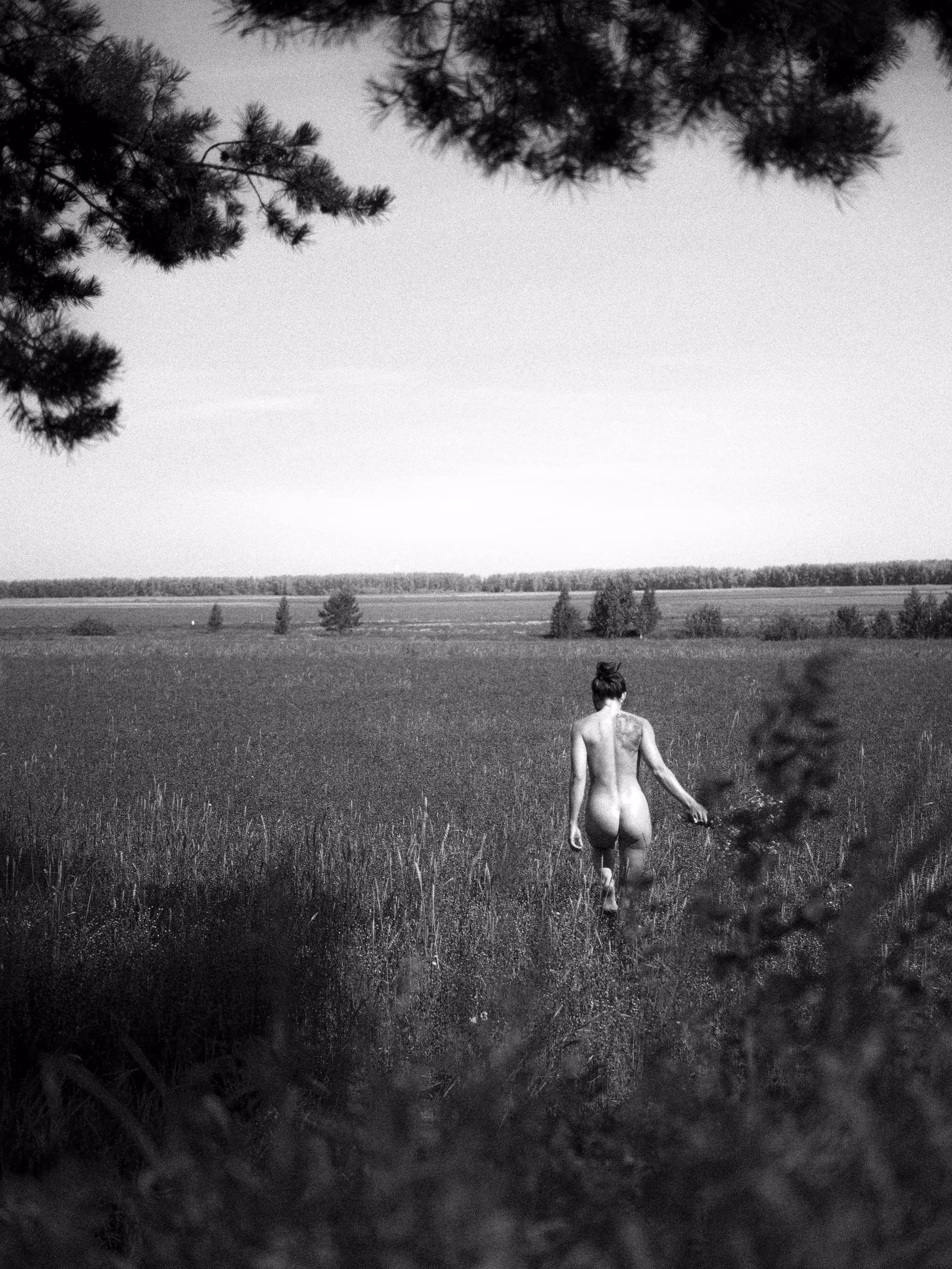 following freedom