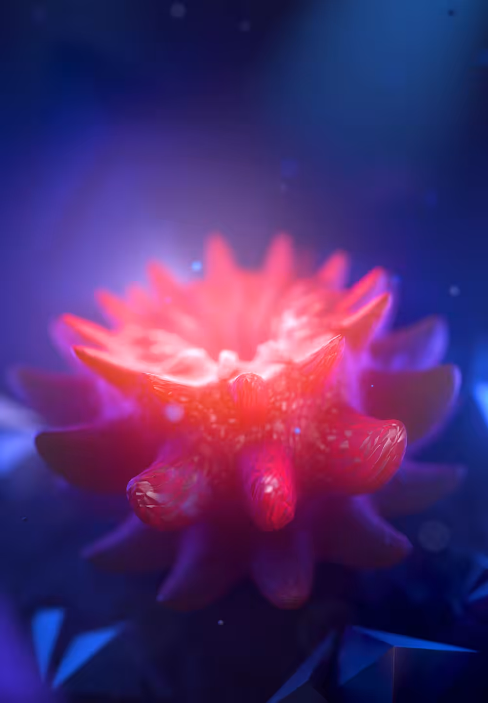 Seastar of ETH