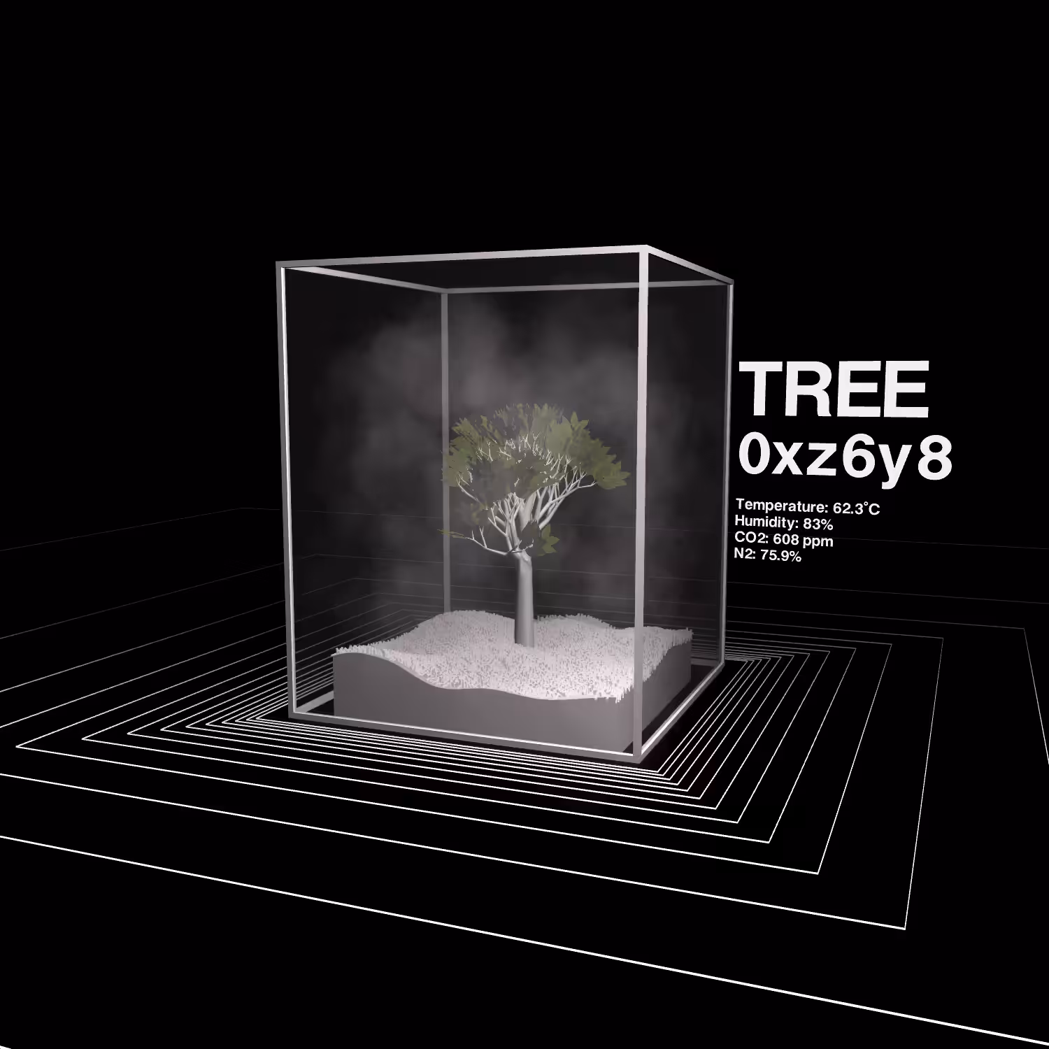 TREES #5