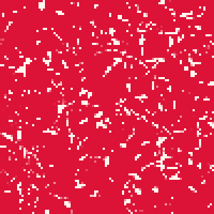 80