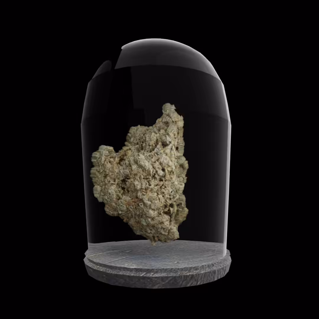 Super Silver Haze