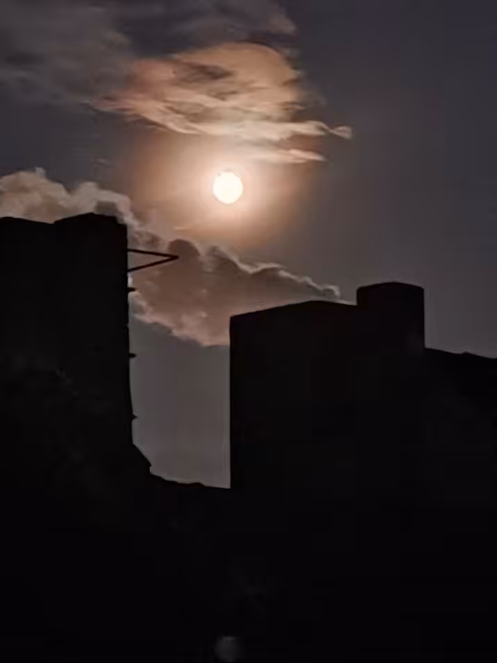 MoonShine