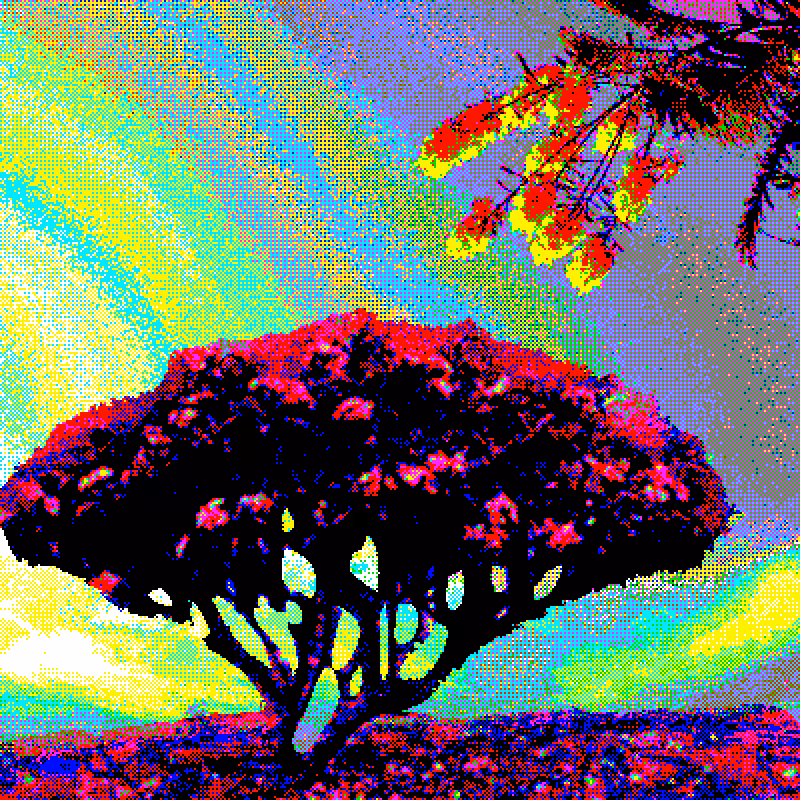 Garden of the republic ✿ #1