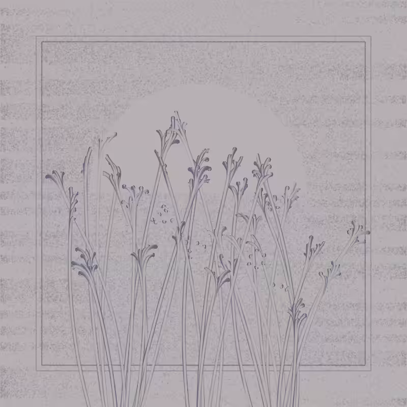 string_pllu #35