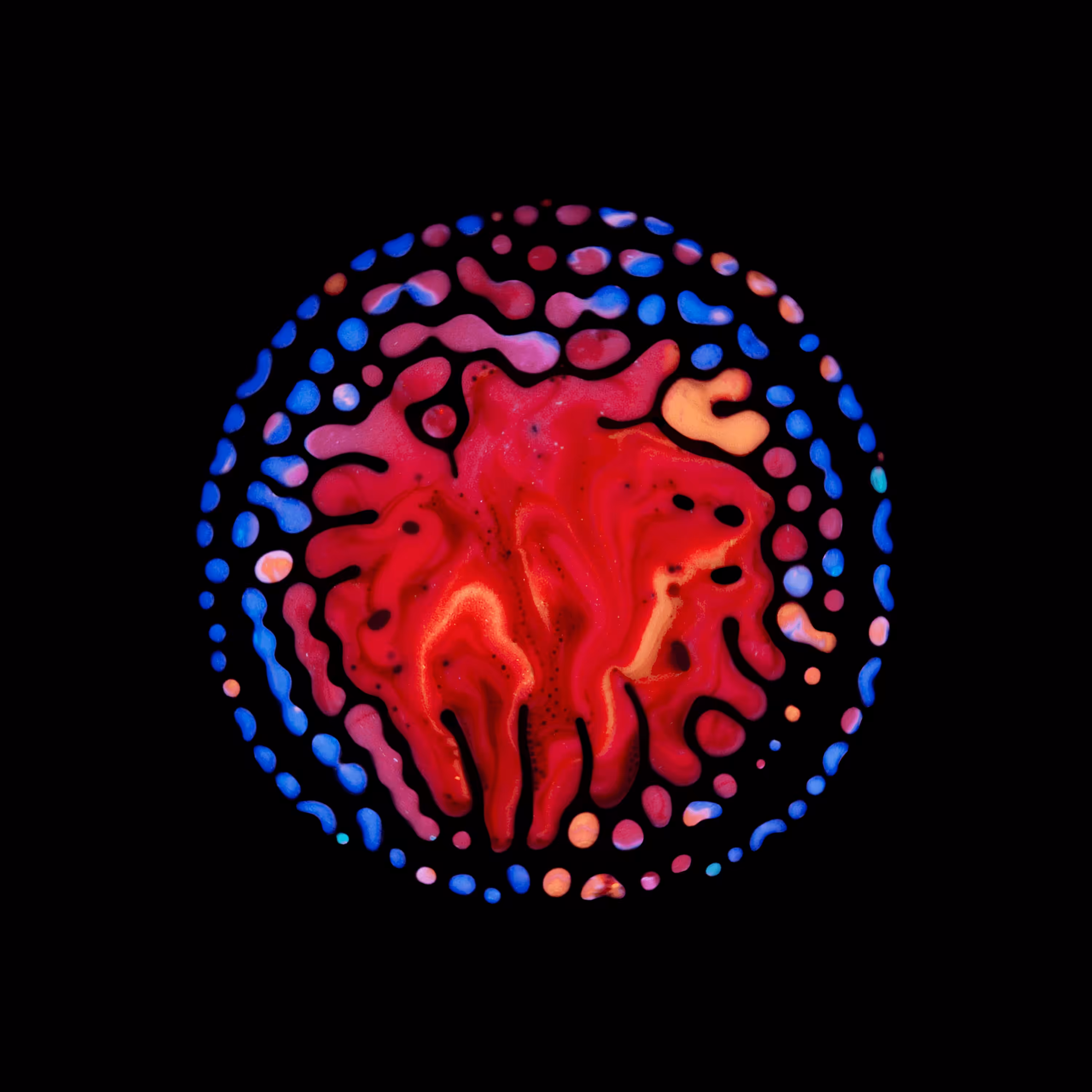 Haematopoiesis #145