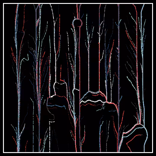 Observers' decline #48