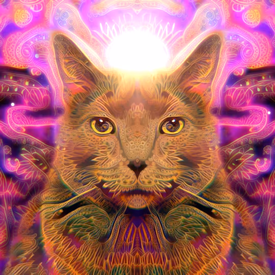 Electric Catnip: Catnip Rising