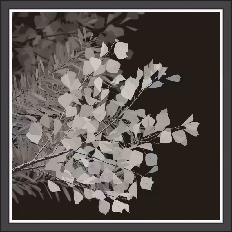 White Night Vol.1 #155