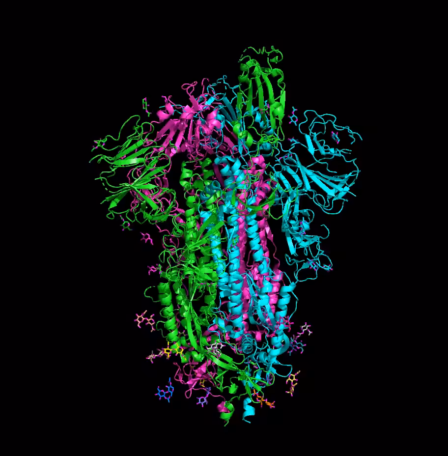 2019-nCoV spike glycoprotein