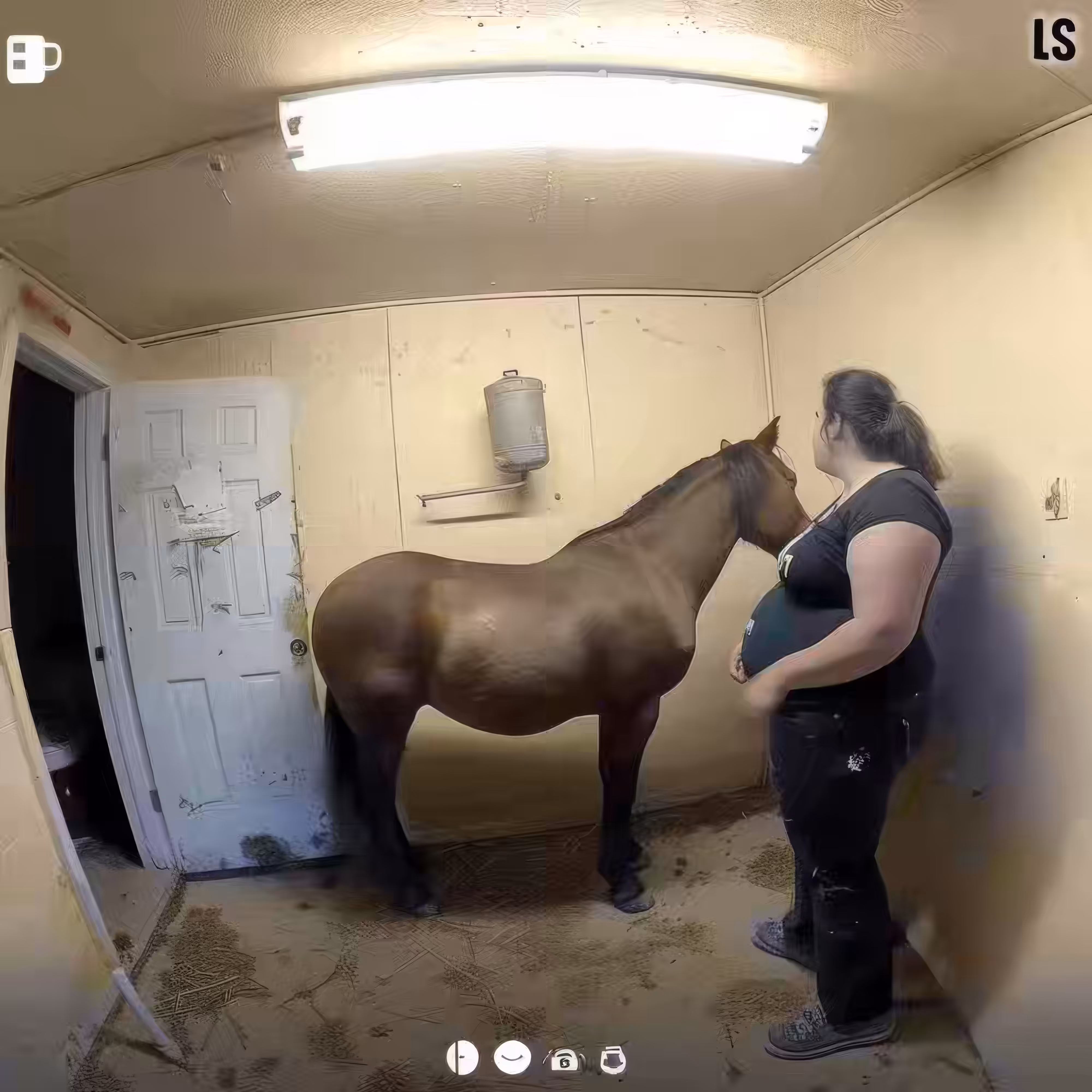 BAD JPEGs: She's-Stable