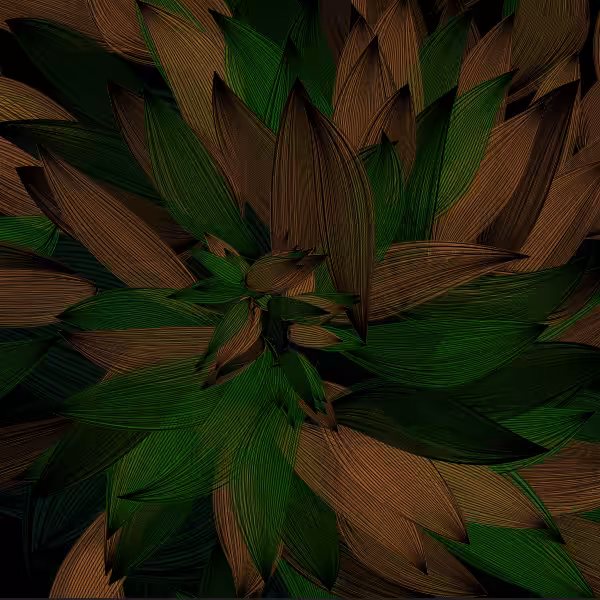 Petal in Hope of Light #60