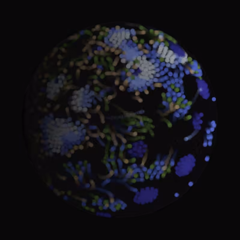 Earth #359