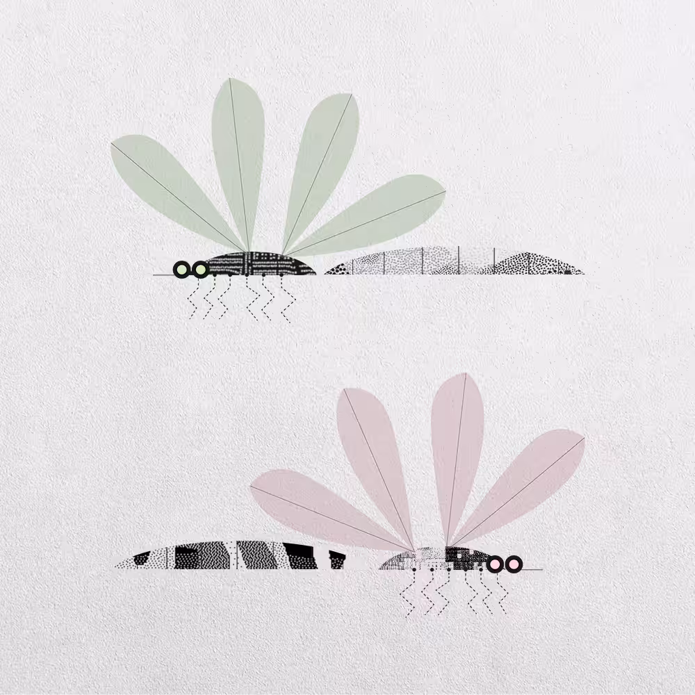 Mosquito Abstraction #7