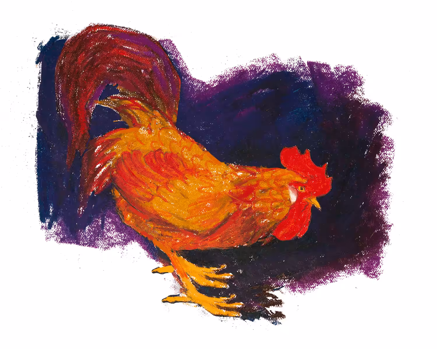 Proud Rooster 
