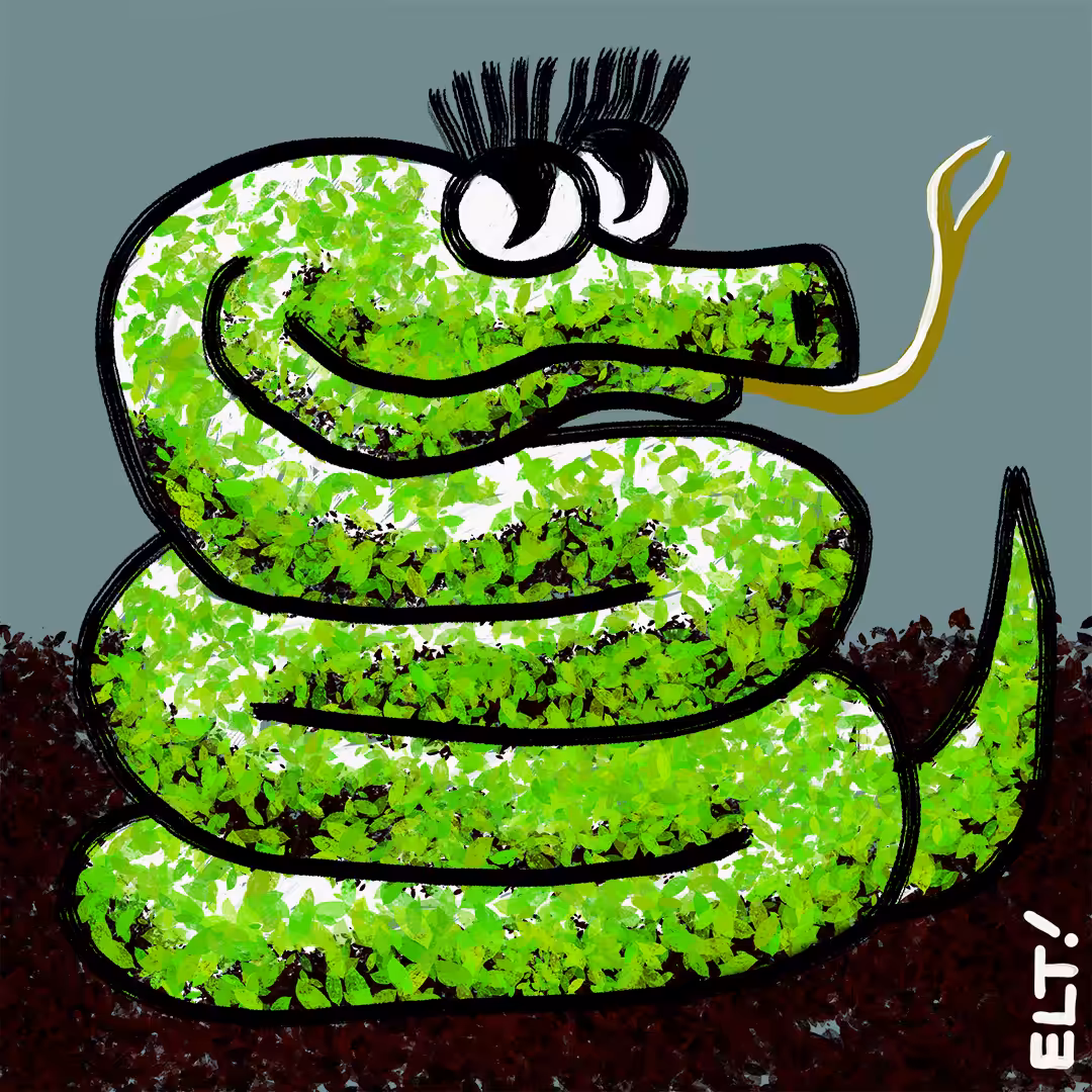 Fancy Snake #3