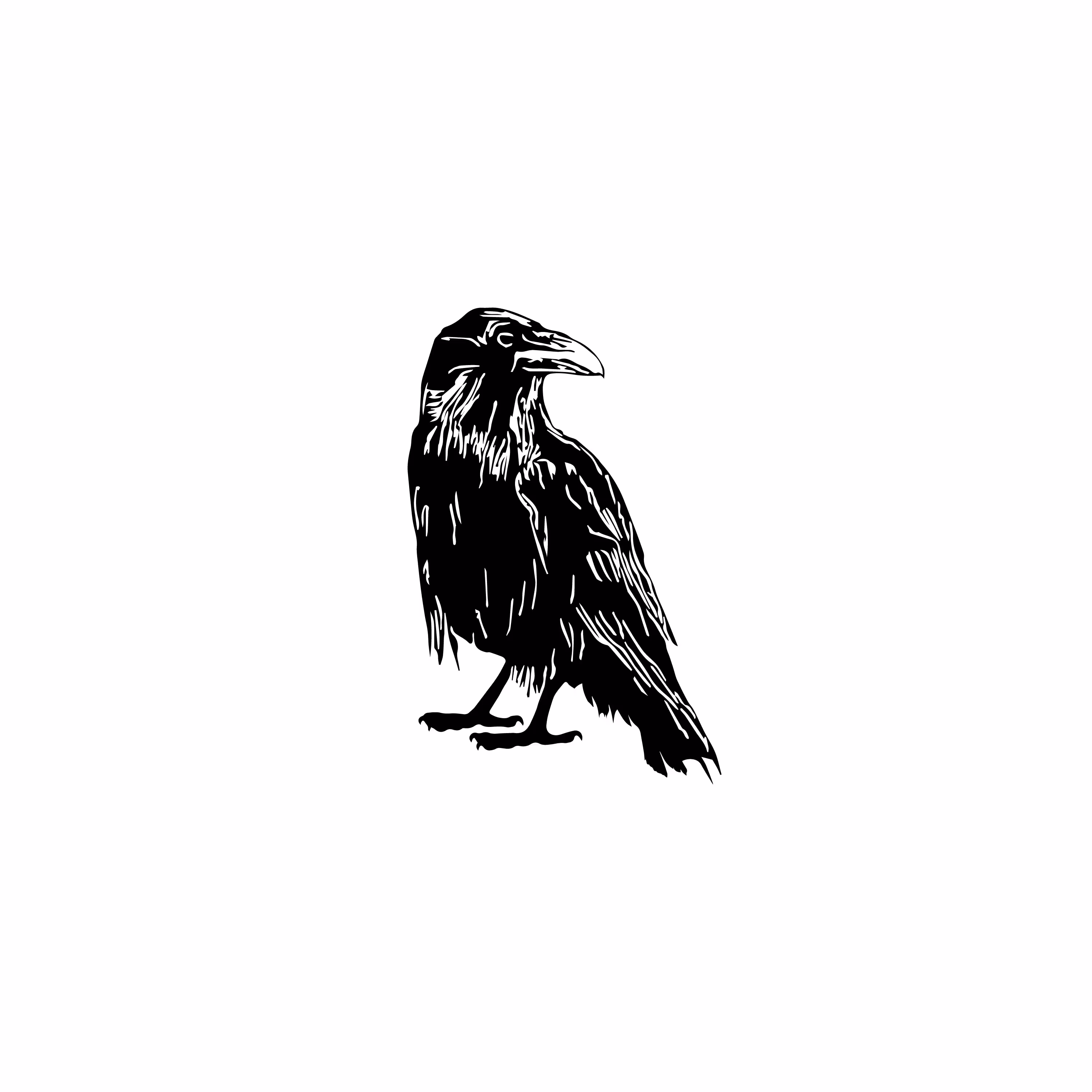 RAVEN RAVE