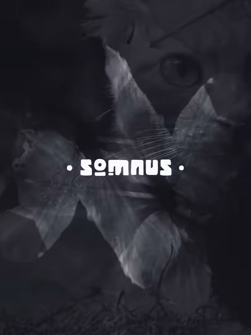 Somnus