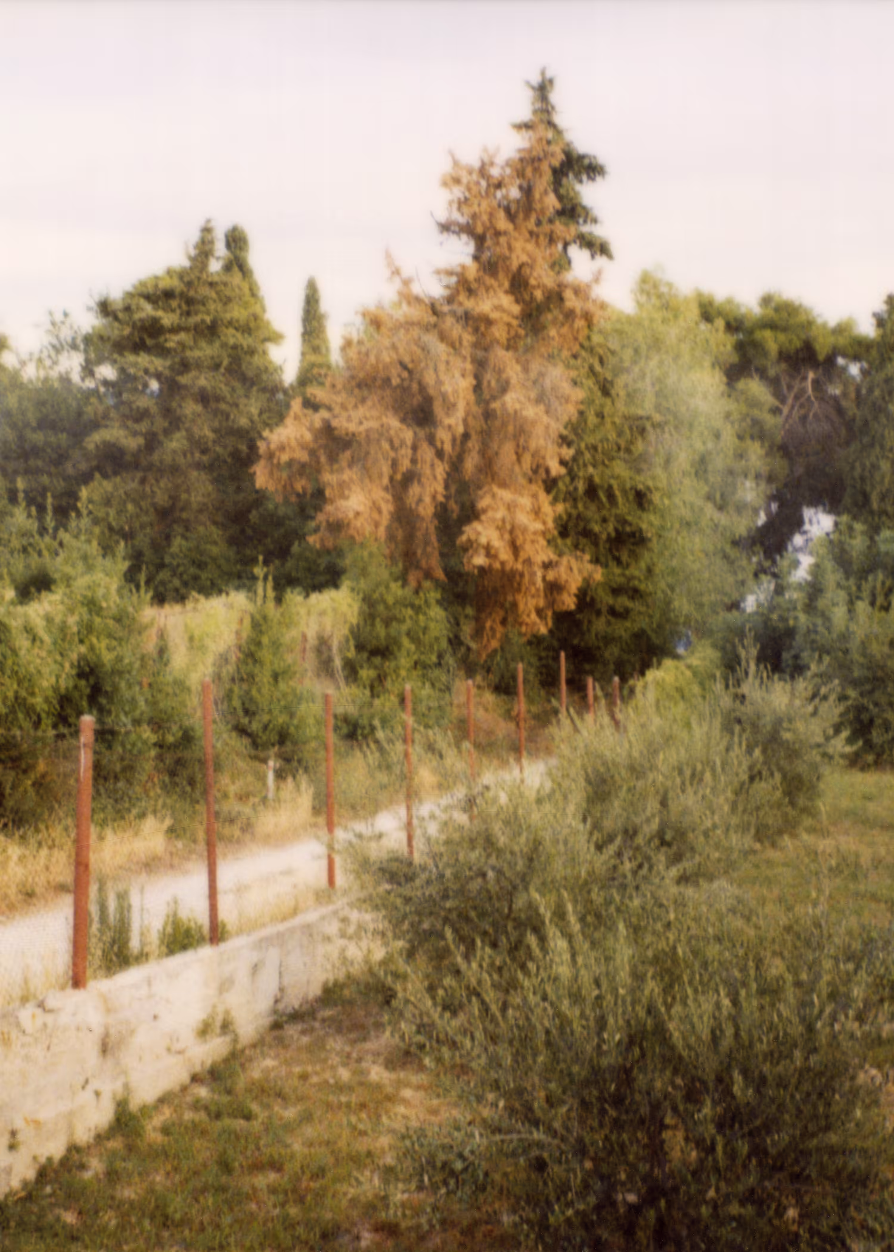 Hvar, 2009