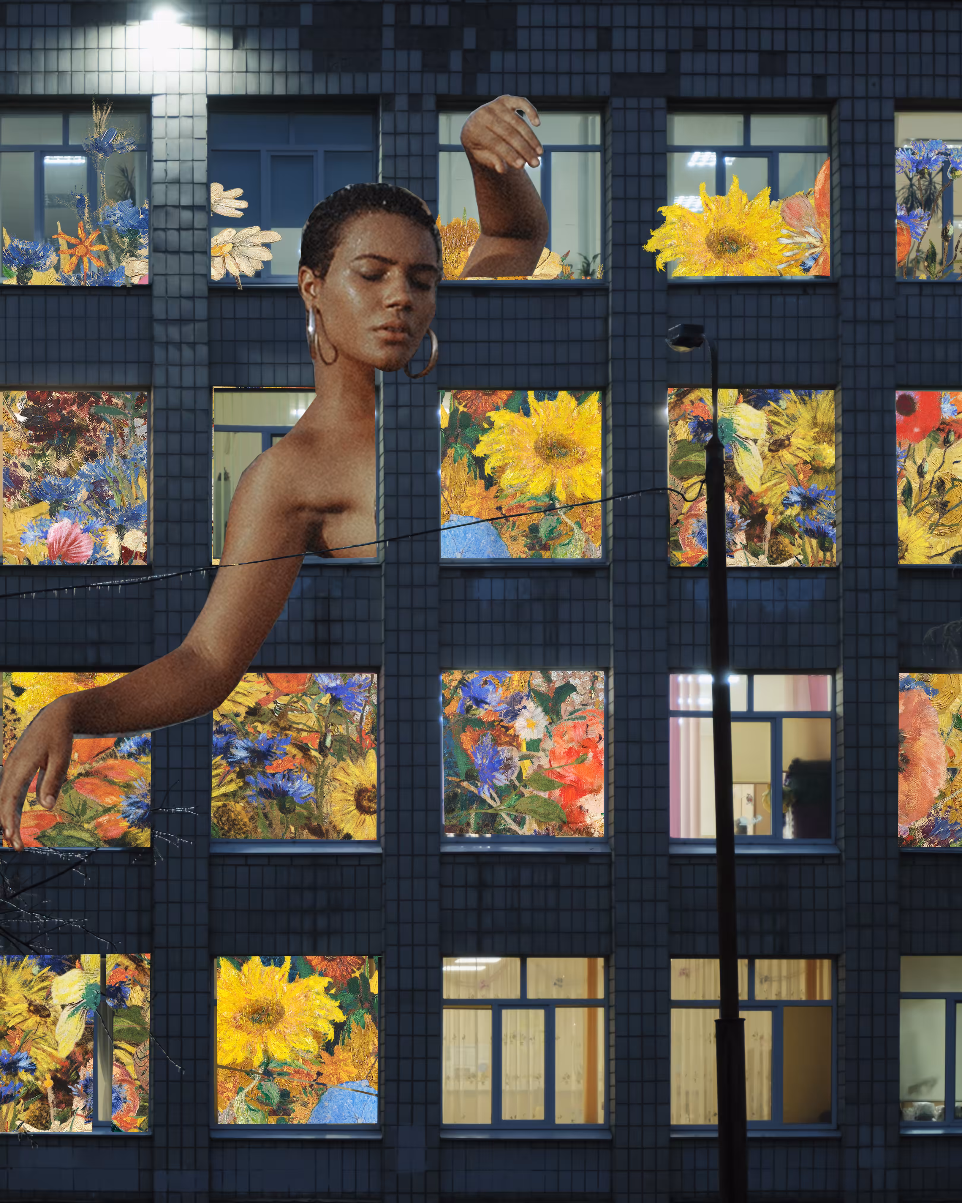 The  Woman in the Window