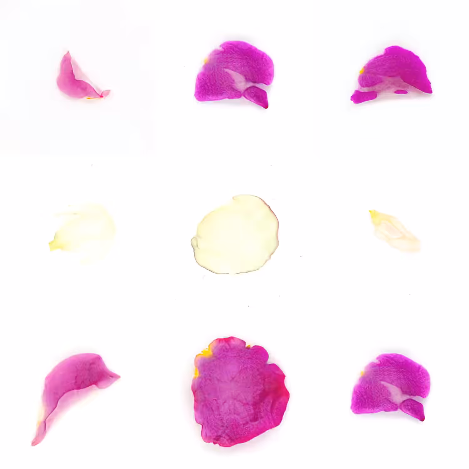 Infinite Petals 3x3#3313