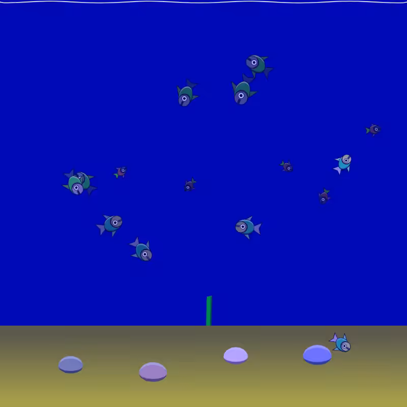 Underwater Schooling #22