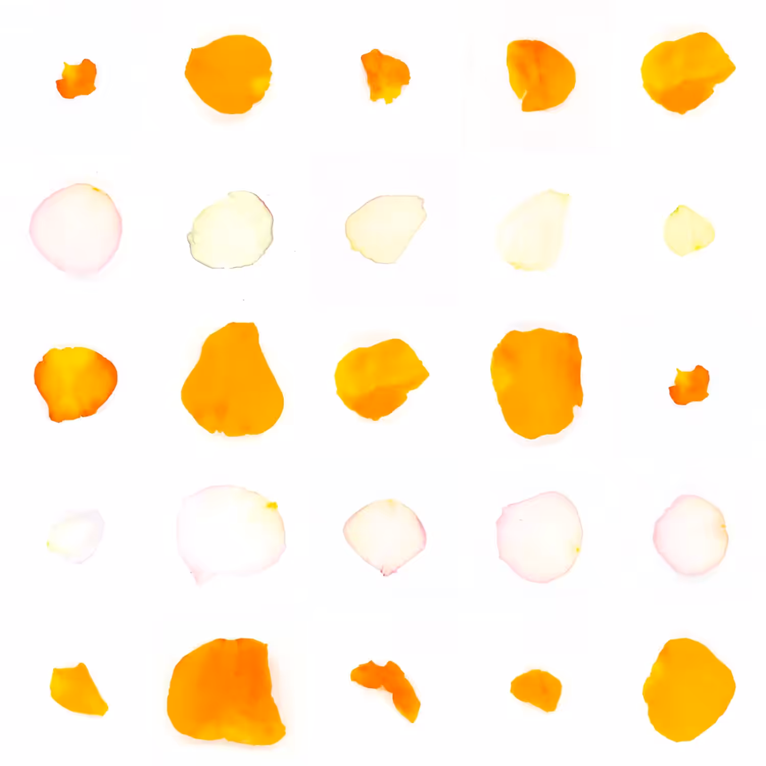 Infinite Petals 5x5#20984