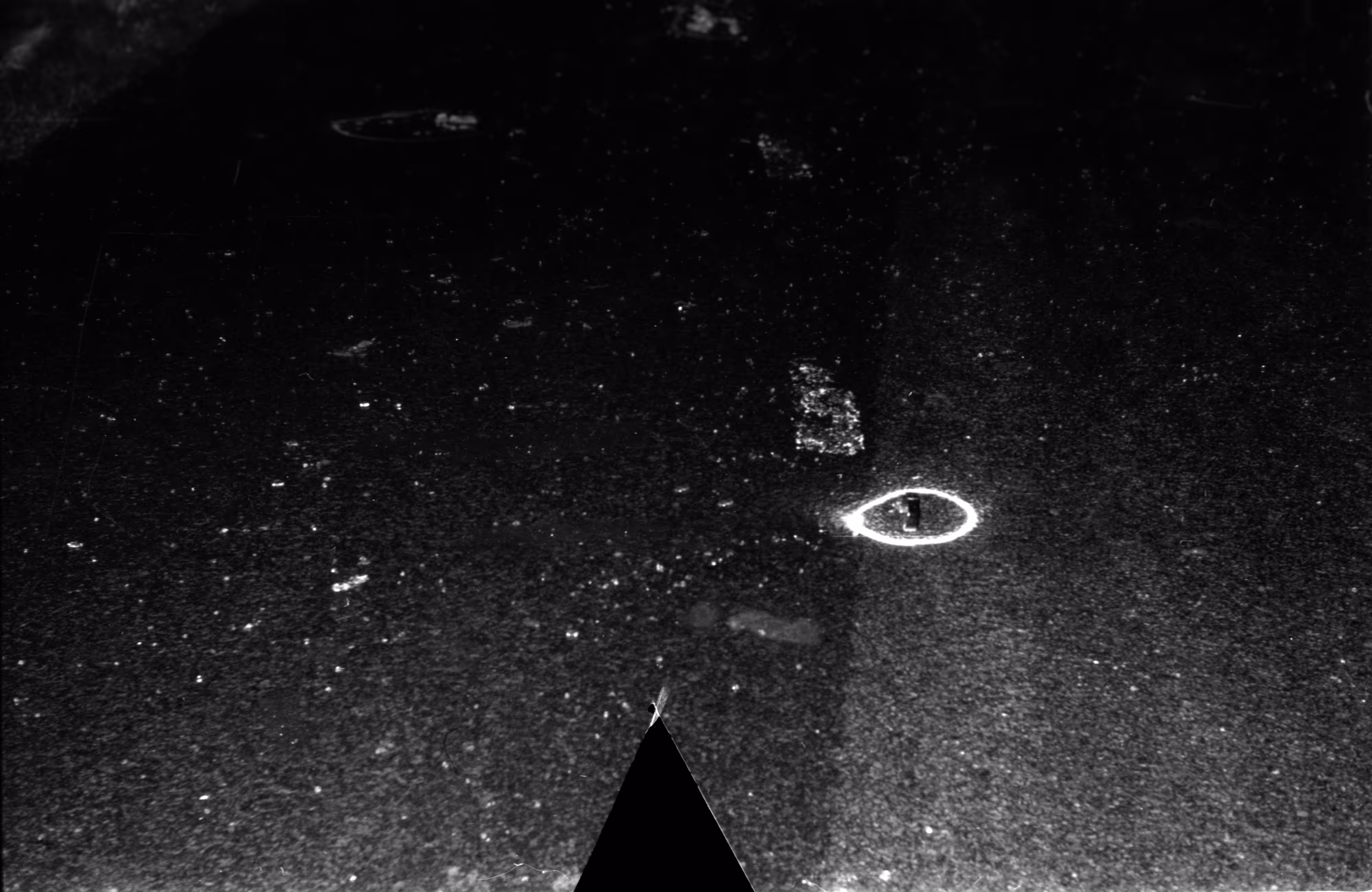 By Accident - The Negatives #337