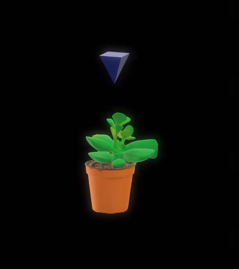 🪴 ℍ𝕠𝕦𝕤𝕖 ℙ𝕝𝕒𝕟𝕥