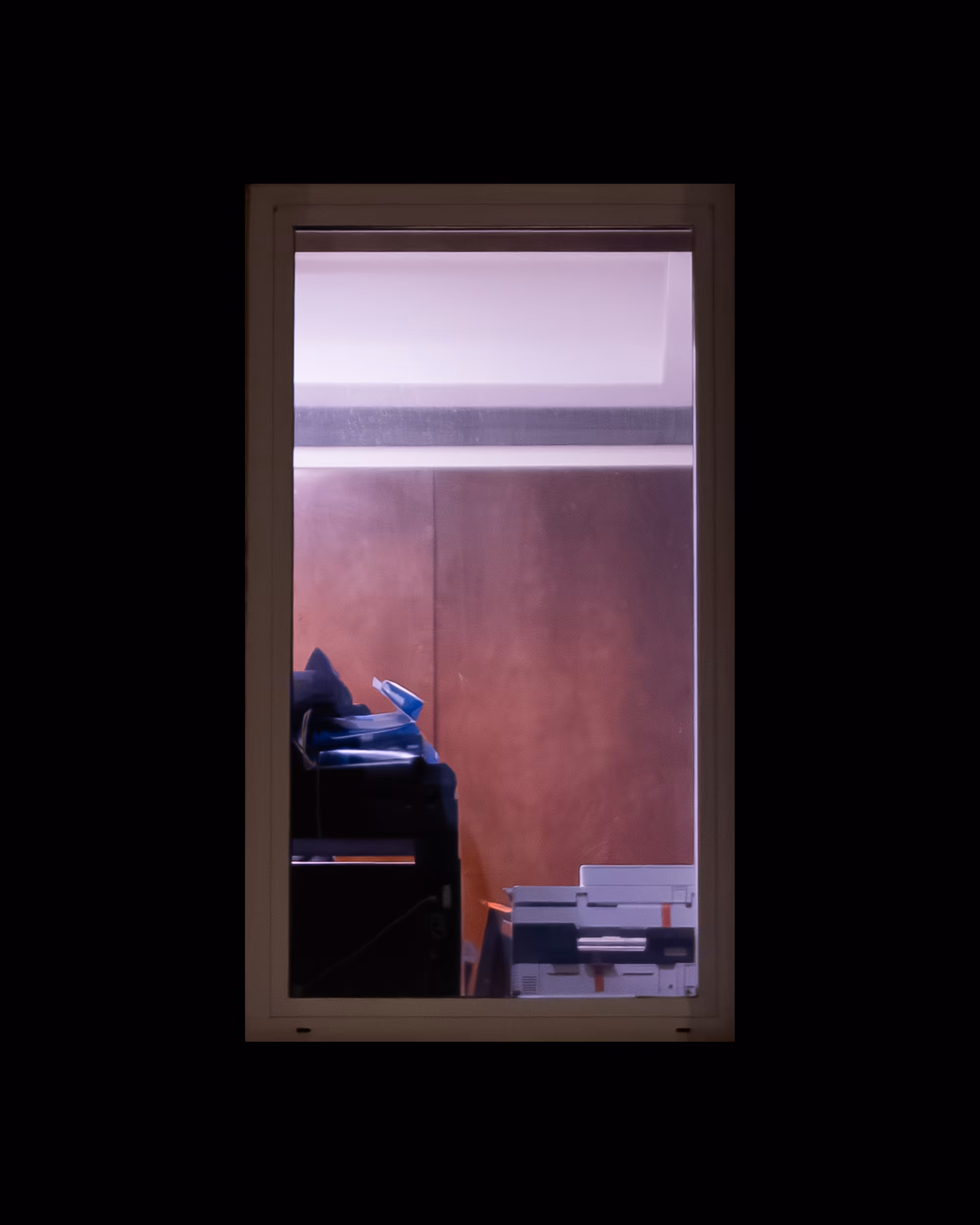 WINDOWS // NYC: WINDOW 831