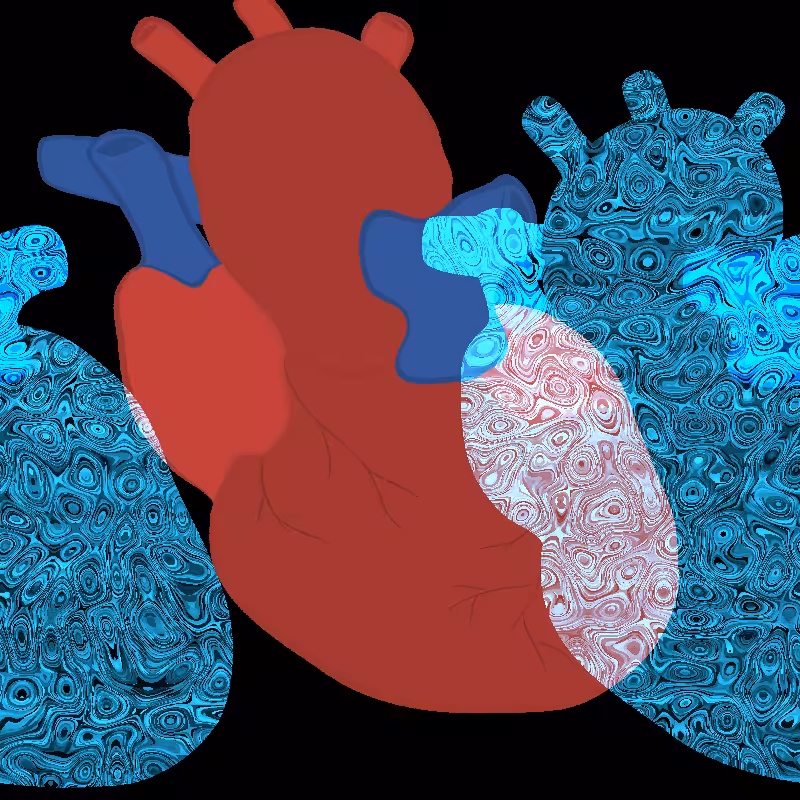 Heart Beat #3