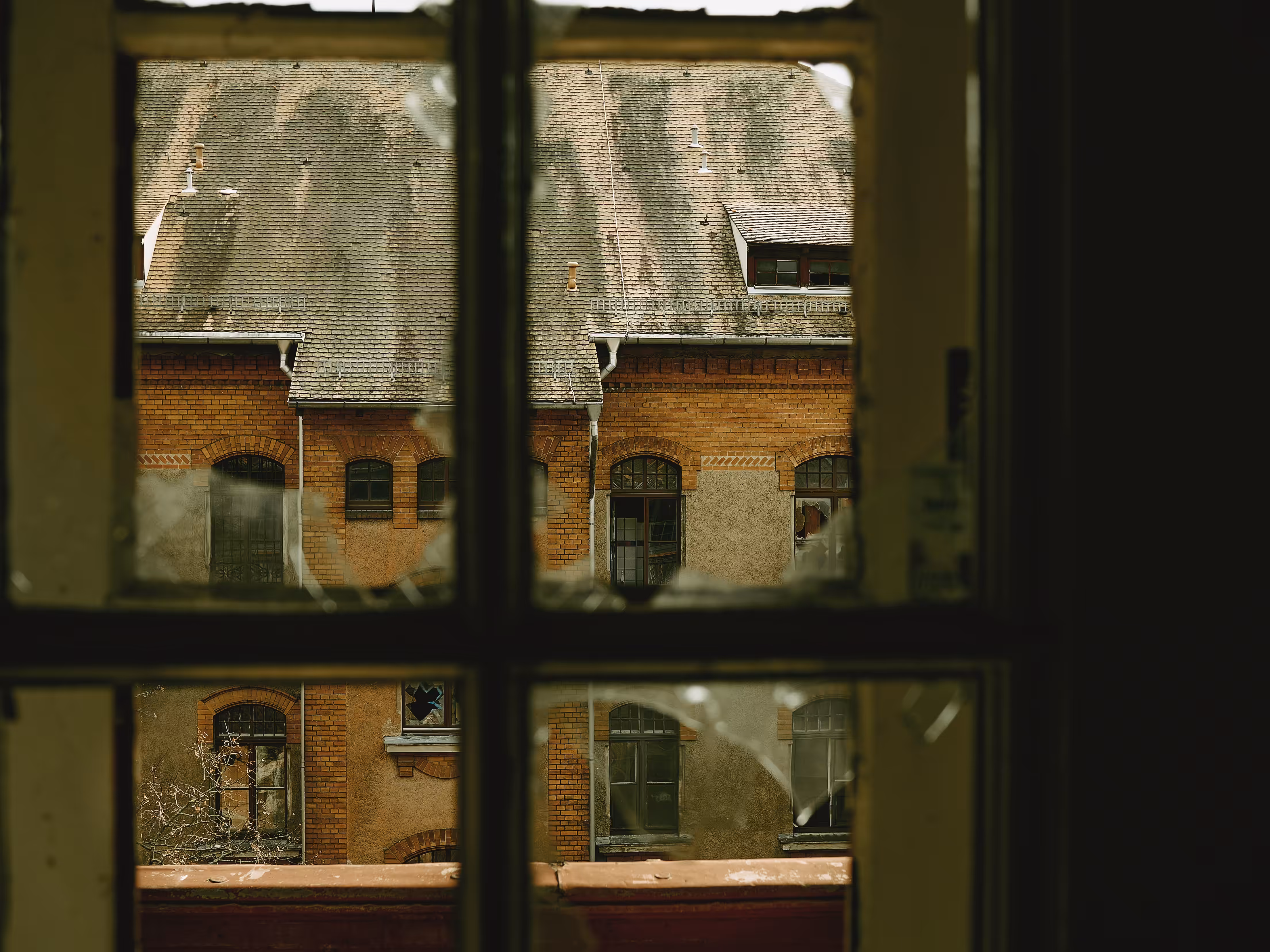 The view from the window