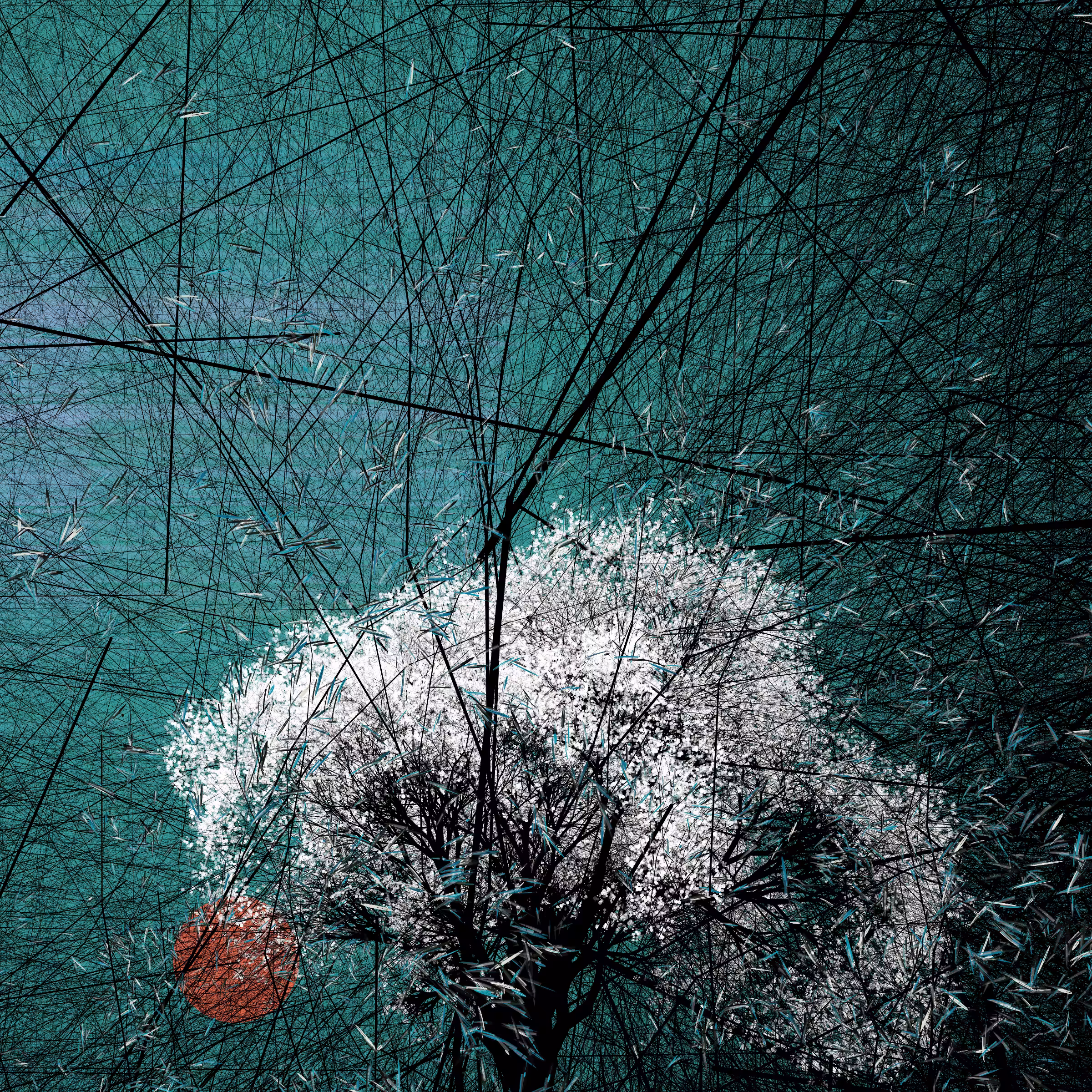 conversation with the wind #206