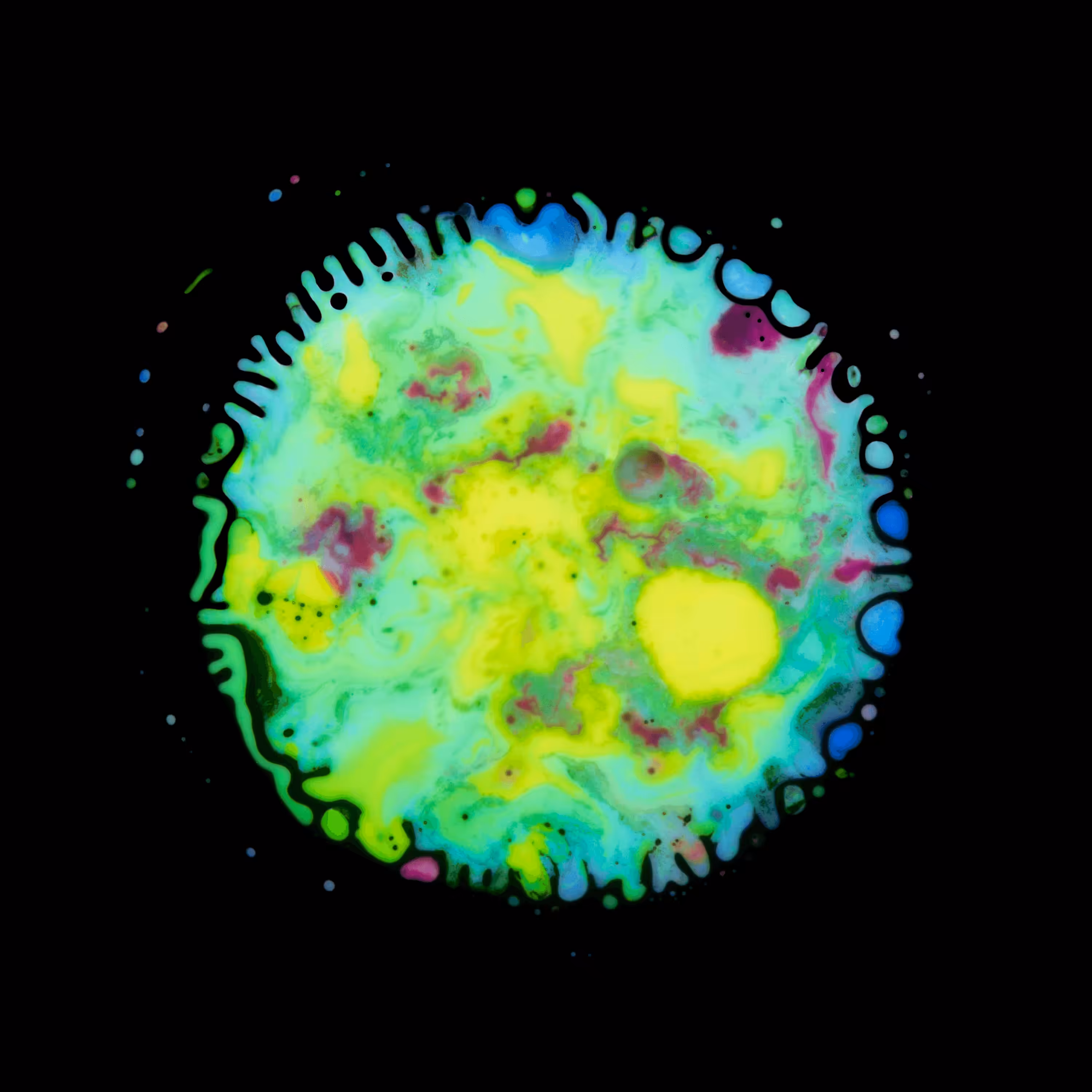 Haematopoiesis #45