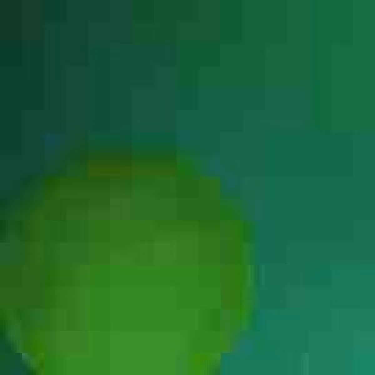 Orbit 362342904