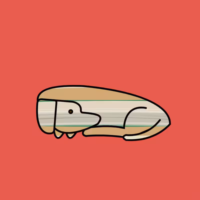 GOOD DOG #52