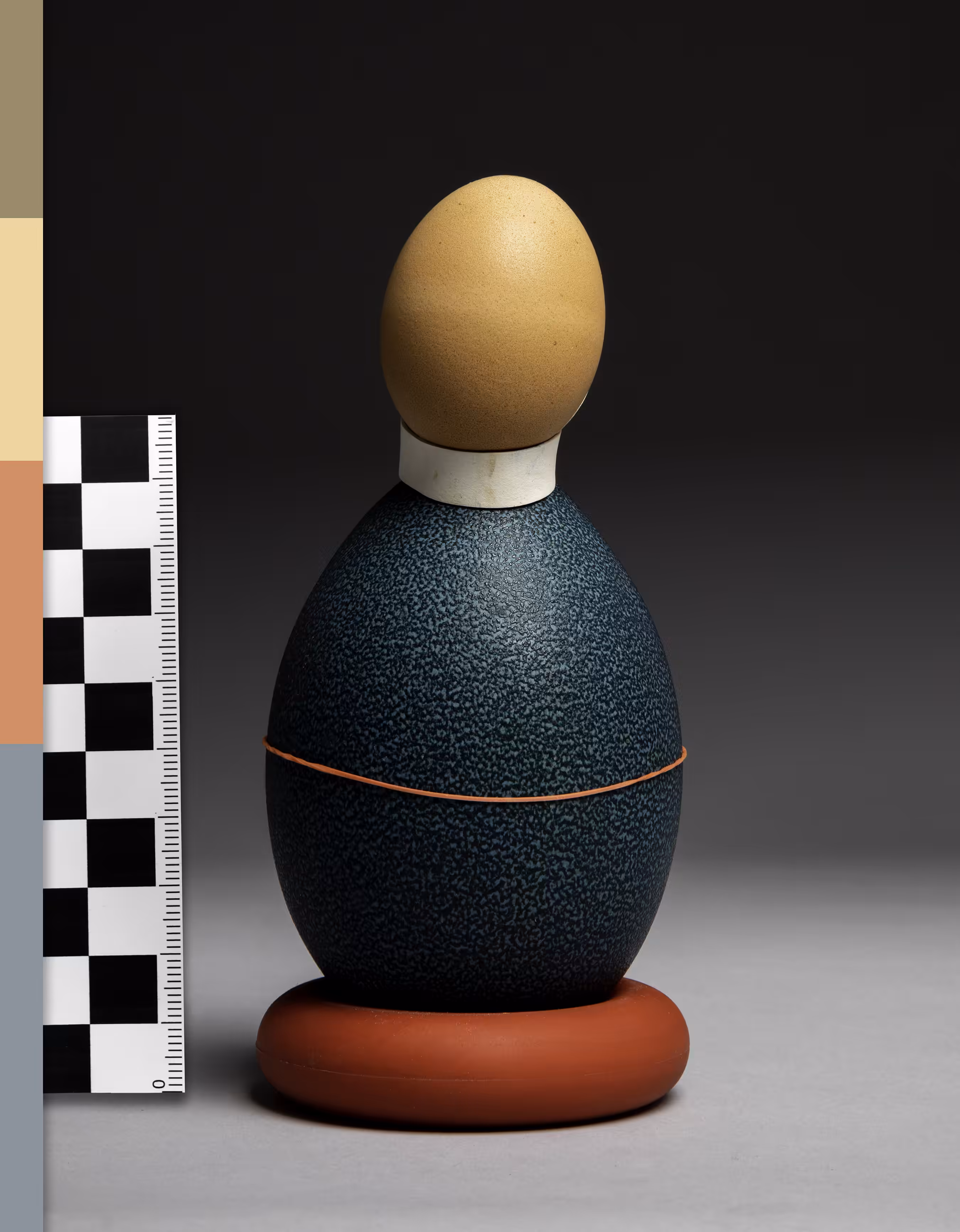 Chicken Egg on Emu Egg with Elastic Bands on Grey