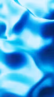 2026 Everyday: 26121