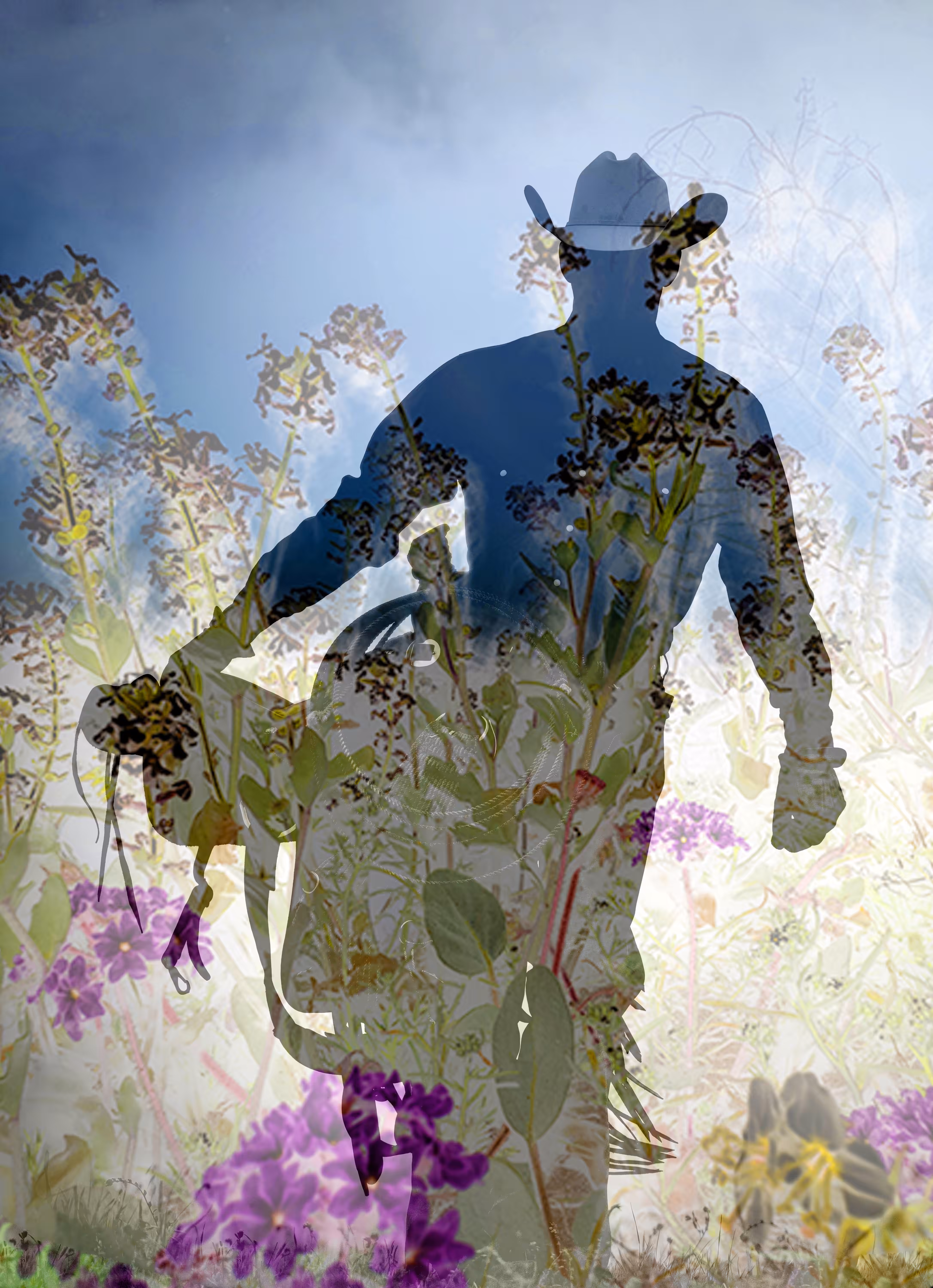 Flower Field Cowboy