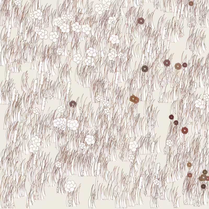 Petri 1500 v2 QHD  #498