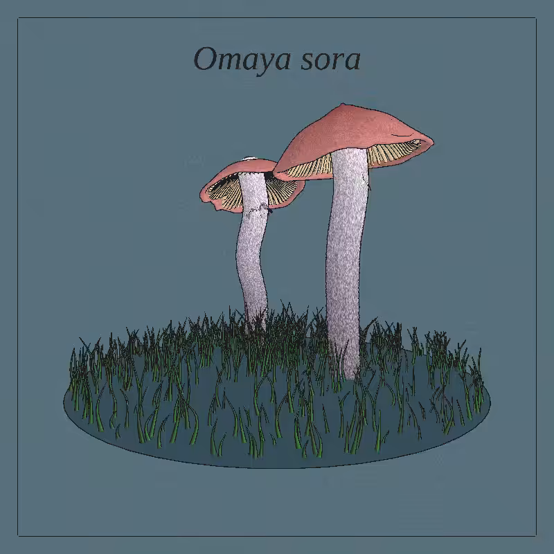 SHROOMS 3D #55