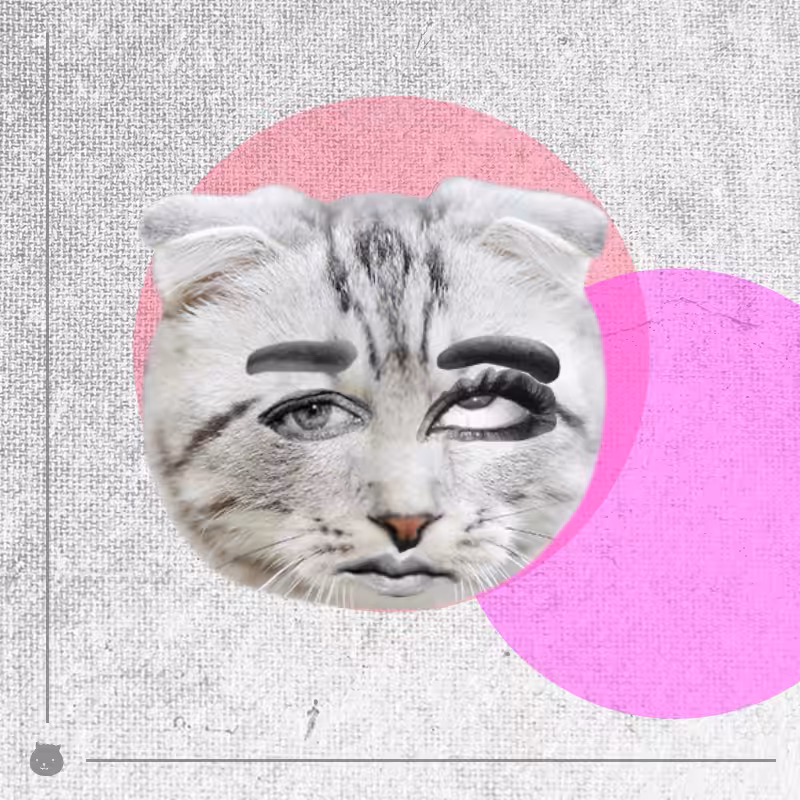 Kittenstein #11