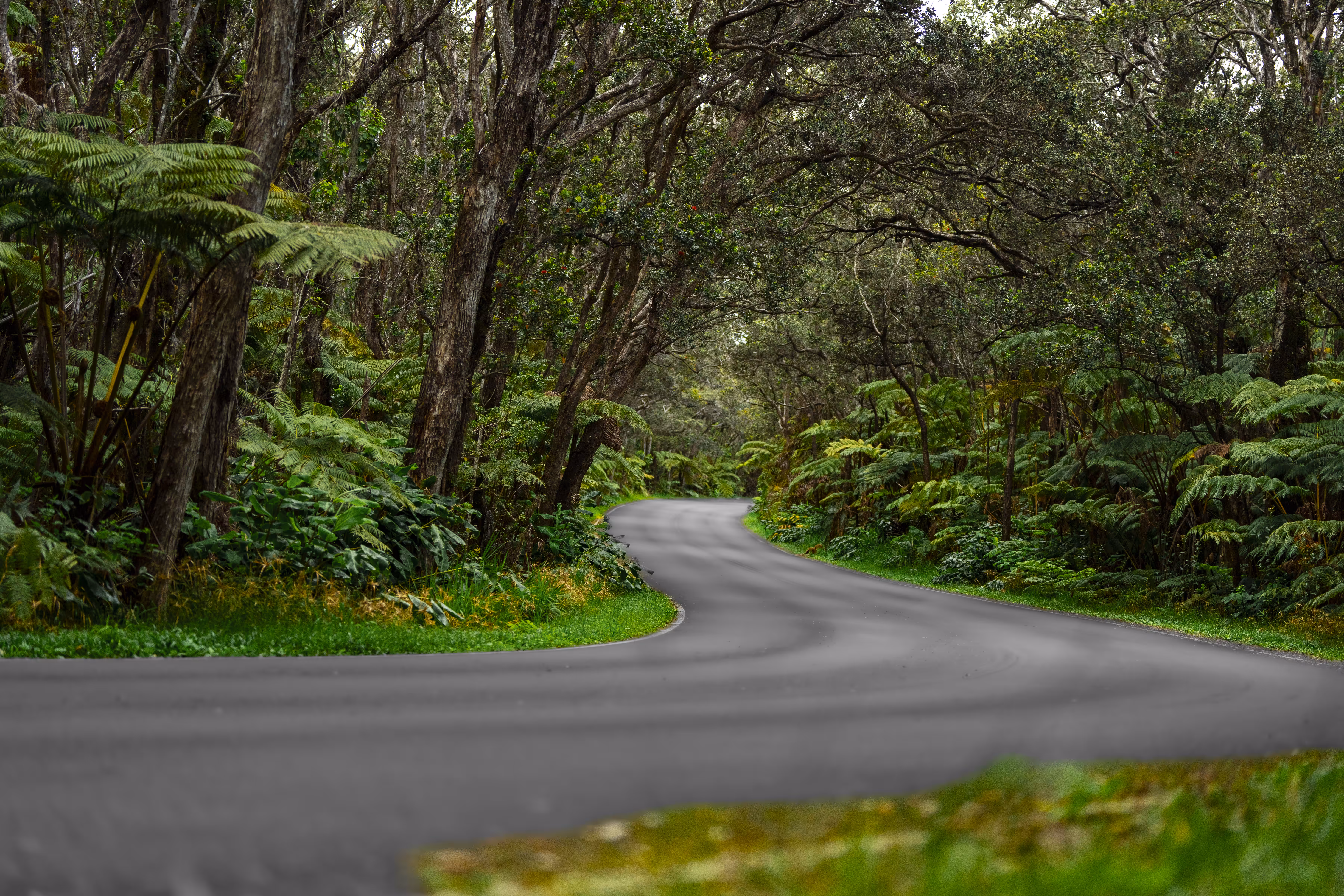 Devastation Road