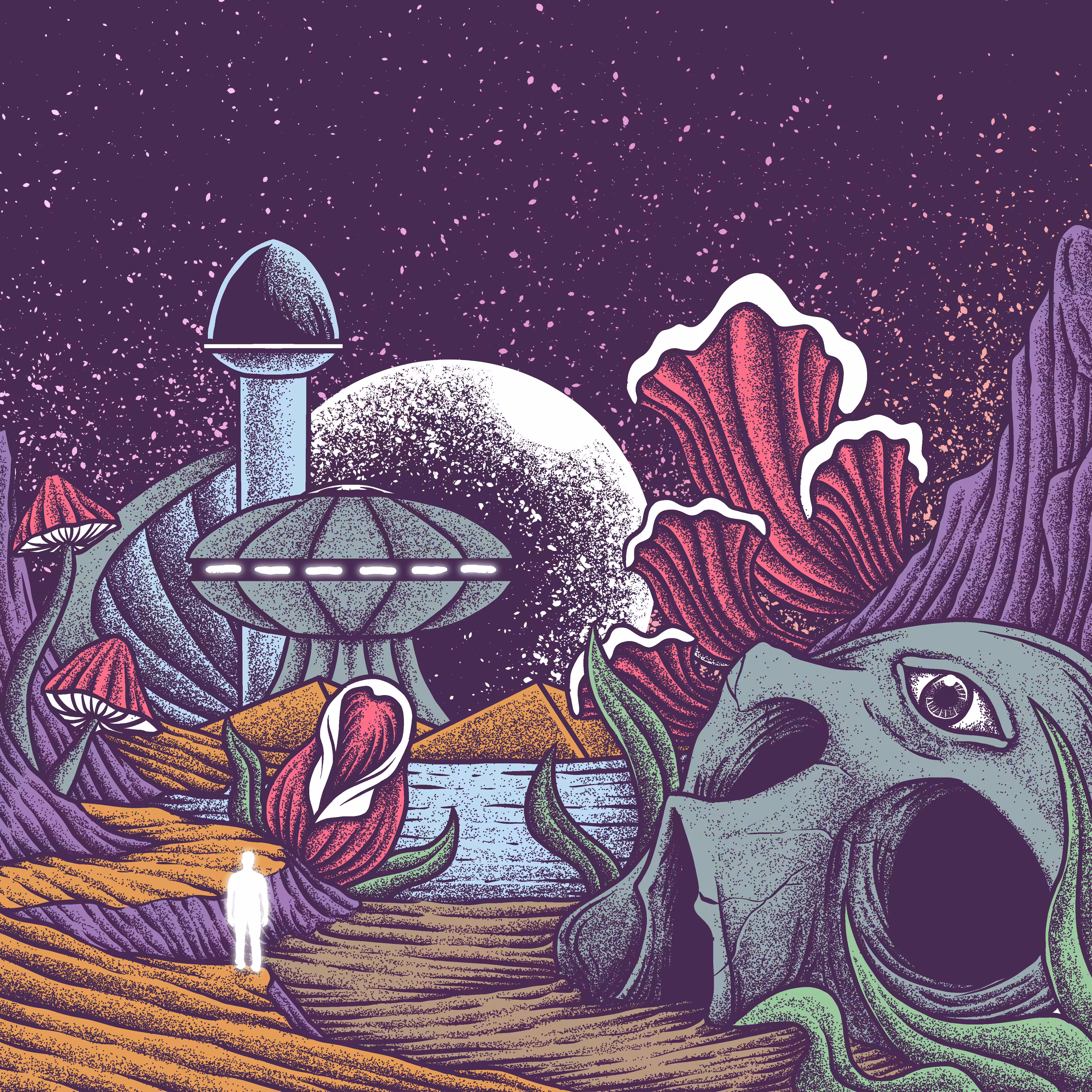 Enter a new world