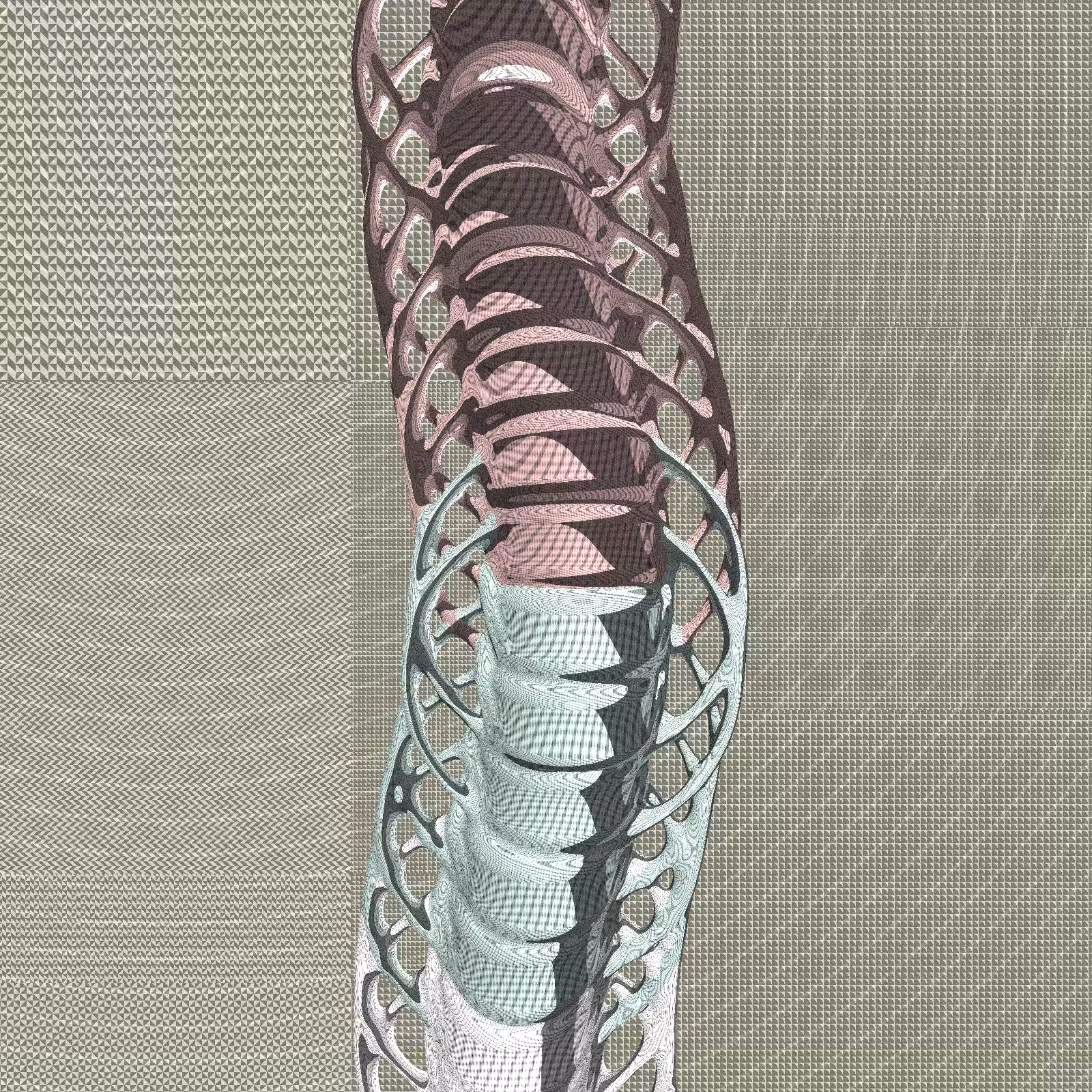 Long, Thin, Tubular Structure #115